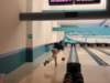 dsc00528_small.jpg