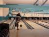 dsc00529_small.jpg